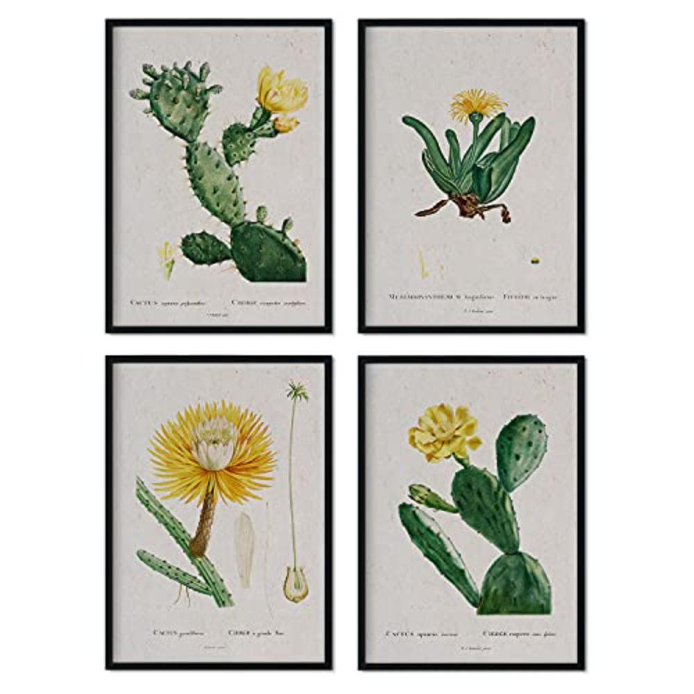 POSTER Set mit 4 gelber Pflanze aus dem Künstler Pierre Joseph Redouté A3 Rahmenlos - Klar, Papier (29.7/3cm) - Nacnic
