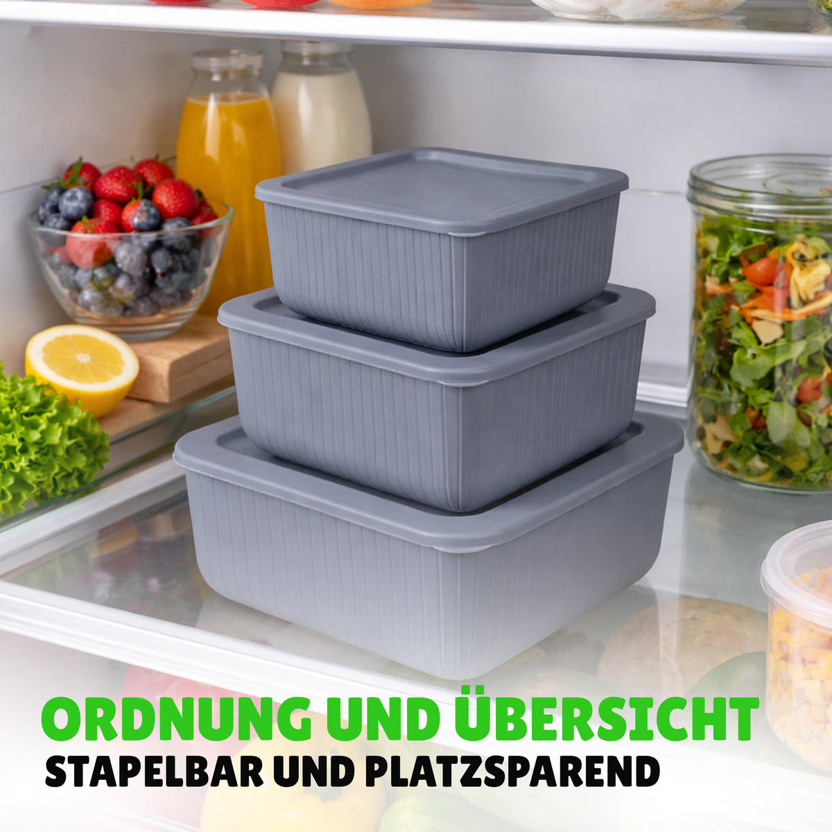 VORRATSDOSEN 3-teilig 0,5L/1L/1,5L Grau - Grau, Kunststoff - ProHome