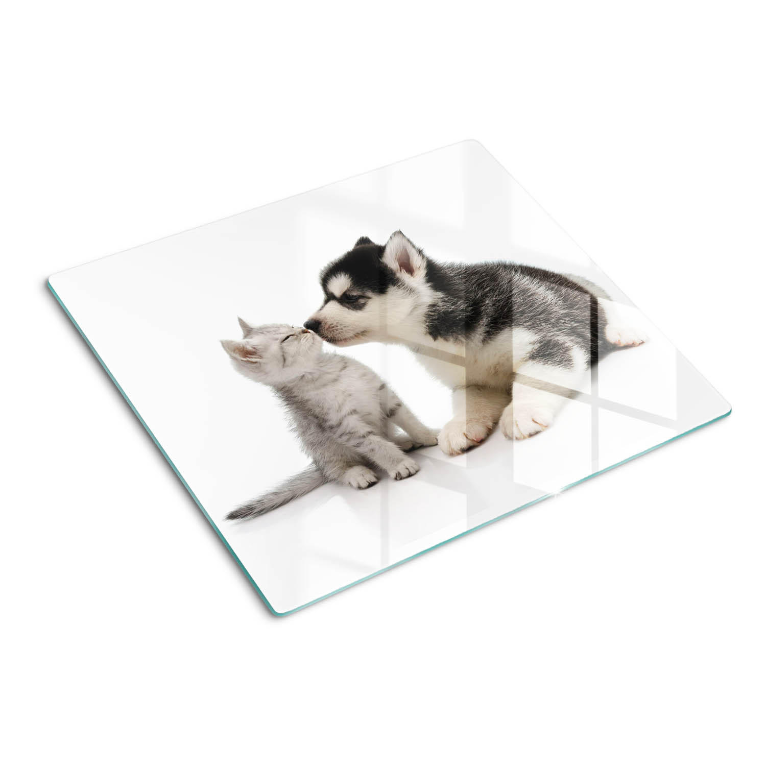 GLASPLATTE 60x52 cm Hund und Katze - Braun/Grün, Glas (60/52cm) - TULUP