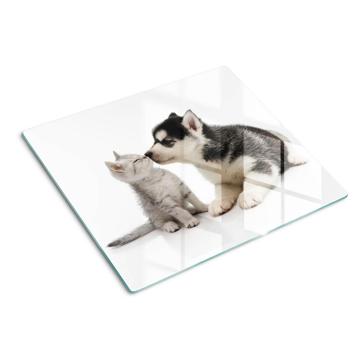 GLASPLATTE 60x52 cm Hund und Katze - Braun/Grün, Glas (60/52cm) - TULUP