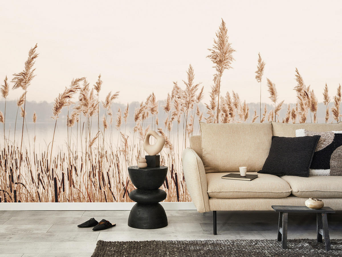 FOTOTAPETE für Wohnzimmer Pflanzen Natur 150x105 - Beige/Braun, Papier (150/105cm) - Muralo