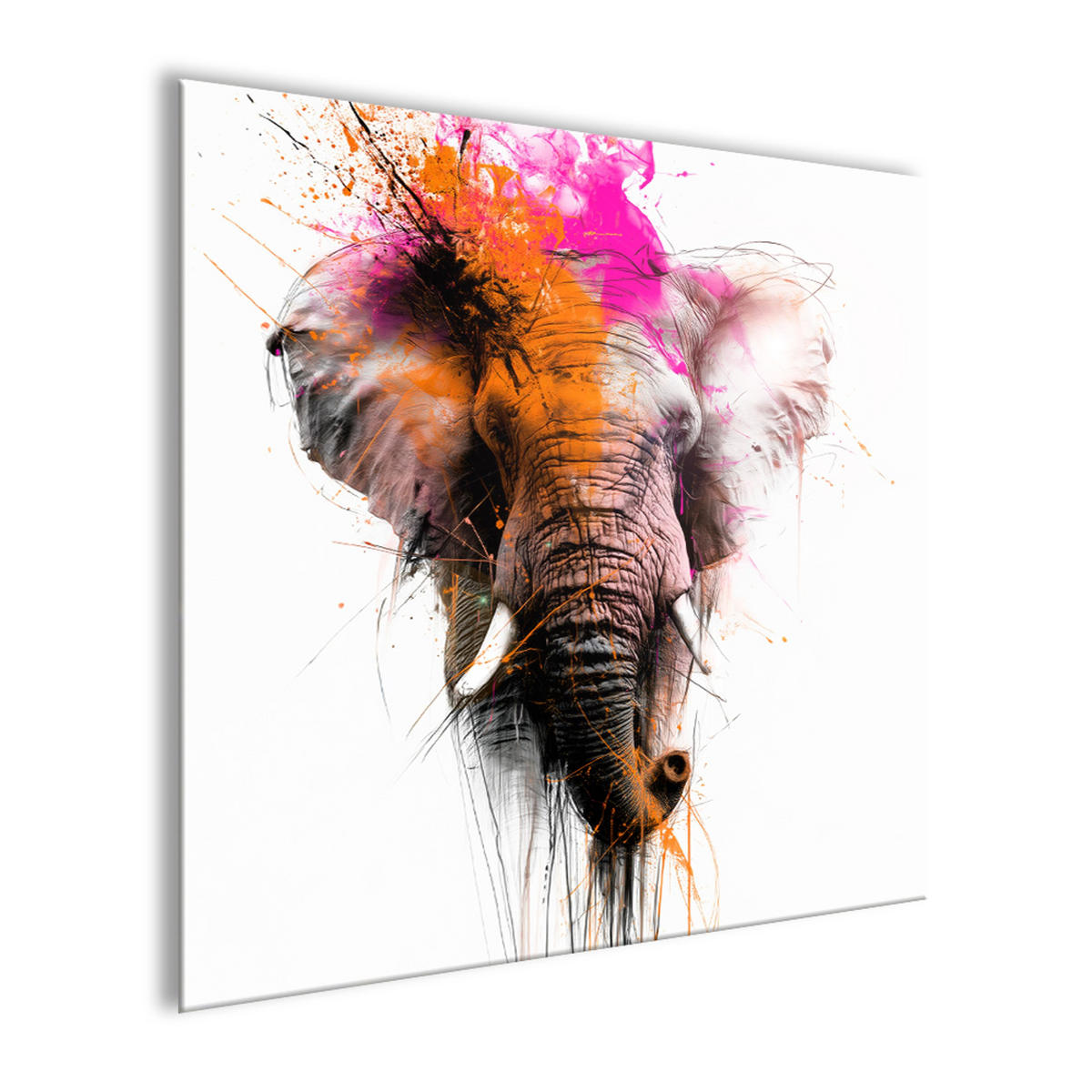 GLASBILD 50x50 cm Elefant orange-pink - Orange, Glas (50/50cm) - artissimo