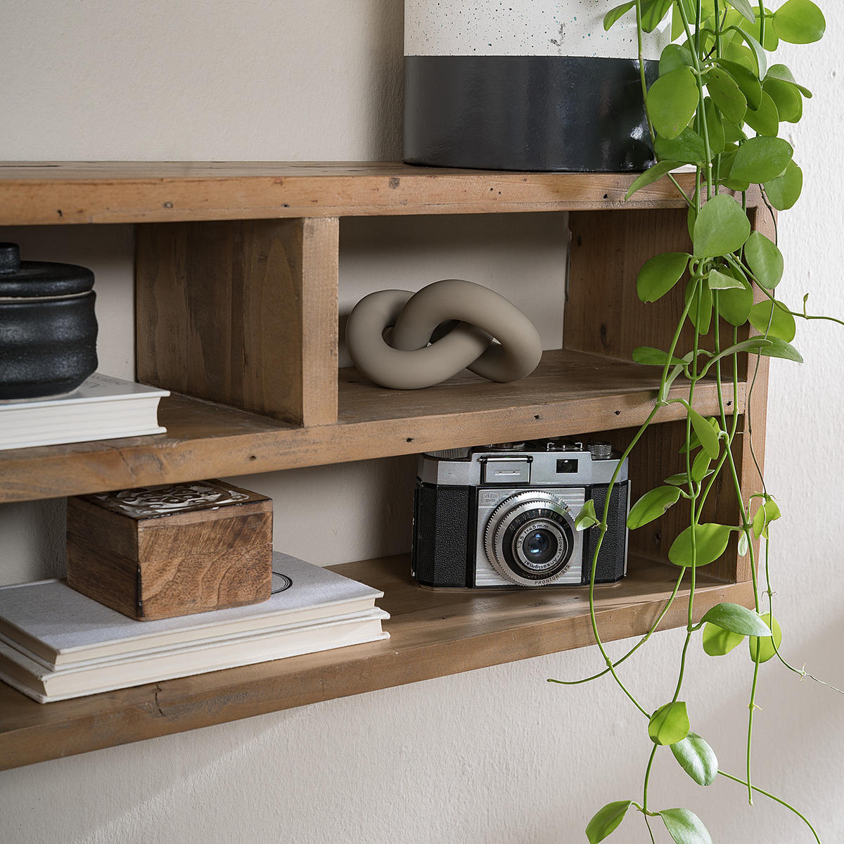 WANDREGAL 6 Fächern - Pinie massiv - Braun, Holz (100/26/16cm) - home24