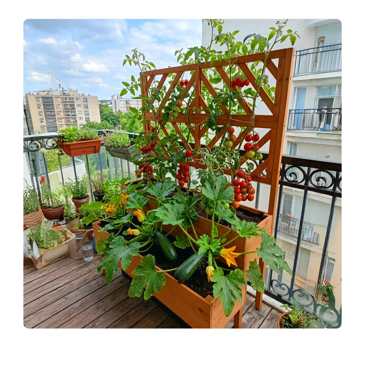 SADILICA - narančasta, drvo (109/135/62cm) - Relaxdays