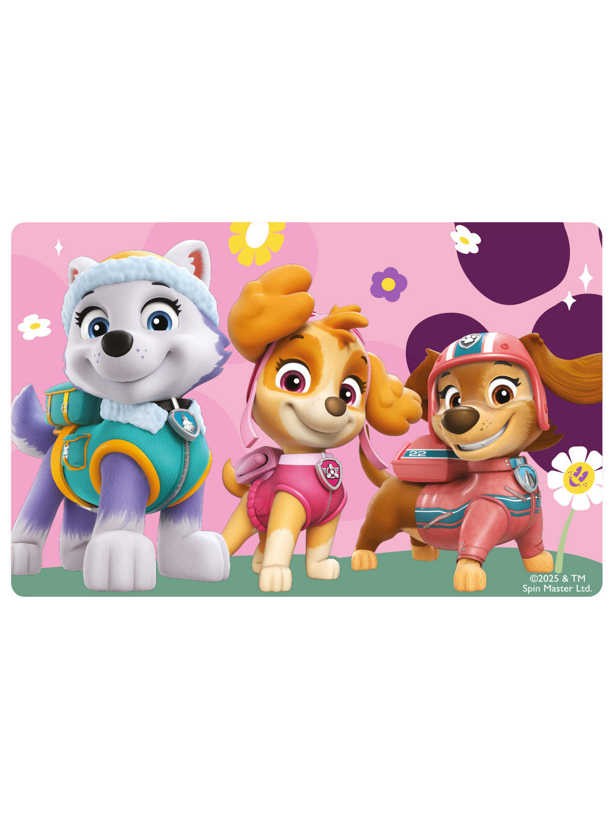 BROTDOSE Paw Patrol Skye, Everest und Zuma Lila 17,5 x 12,8 x 6,9 cm - Lila, Kunststoff (17.5/6.9/12.8cm) - Paw Patrol