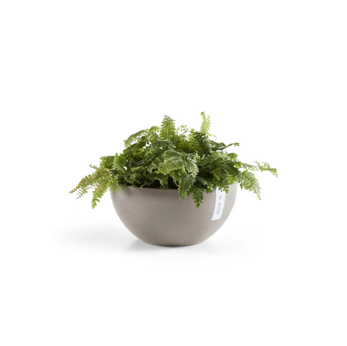 BLUMENTOPF Brussels 25/12 cm Taupe - Taupe, Kunststoff (25/12cm) - Ecopots