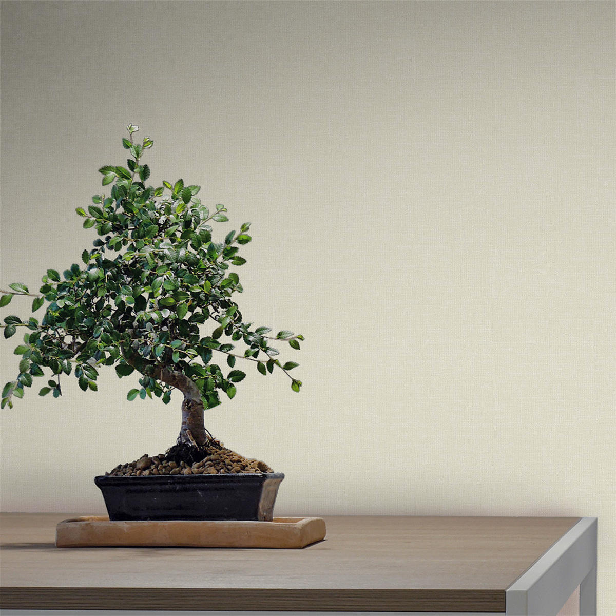 TAPETE Leinen-Optik 53 cm x 10 m - Beige, Papier (53/1000cm) - Sanders & Sanders