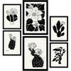 POSTER Set Mit 6 In Schwarzer Tinte Kaktus A3 & A4 Rahmenlos - Klar, Papier (29/3cm) - Nacnic