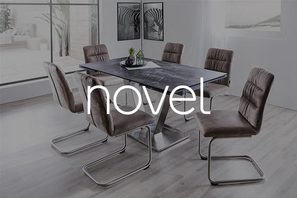 Novel