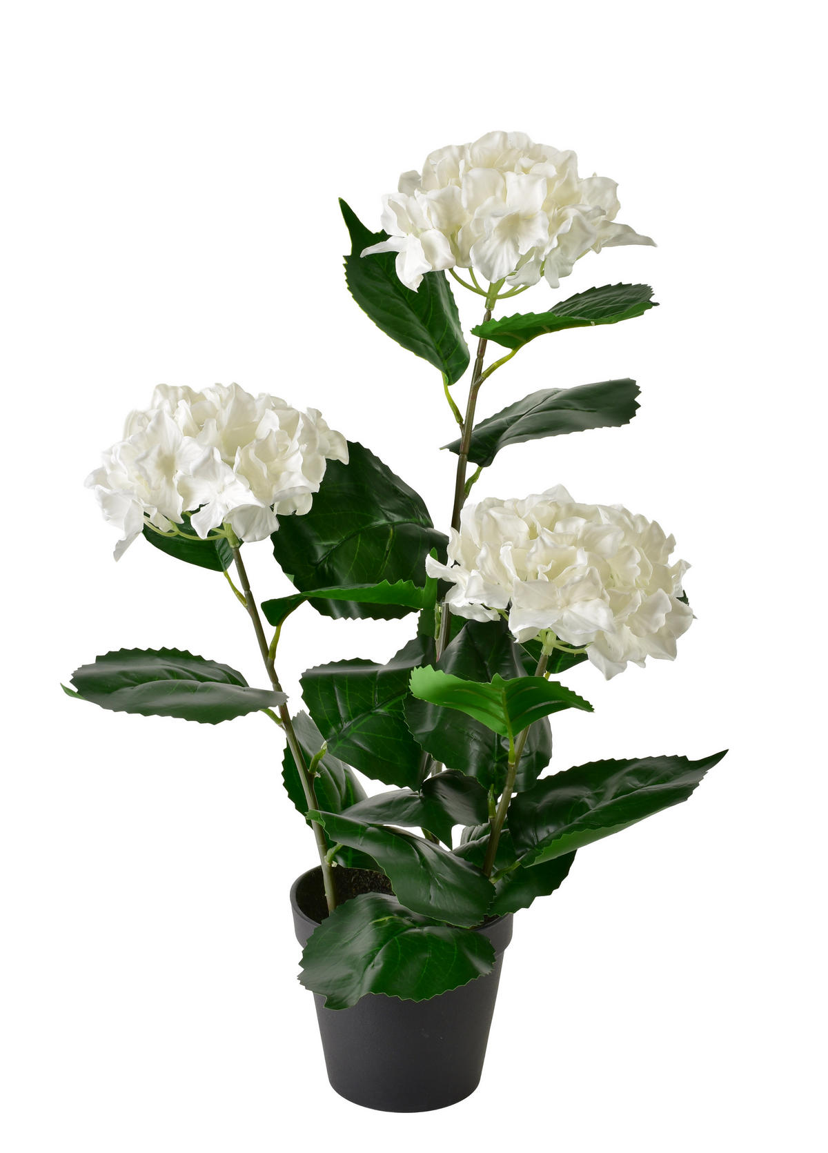 KUNSTBLUME Viridis Creme 1,5x8,5x51 cm Kunststoff - Creme, Kunststoff (51cm) - Mondex