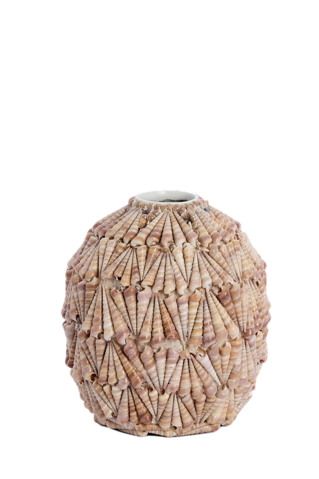 VASE Muschel Braun Ø25,5/28 cm - Braun, Holz (28cm) - Light & Living