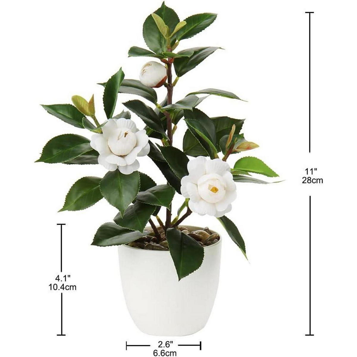 KUNSTPFLANZE Kamelie Weiß 28 cm - Weiß, Kunststoff (27.9cm)
