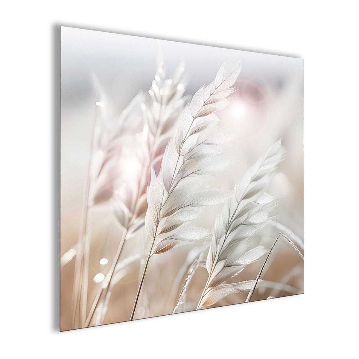 GLASBILD 50x50 cm Natur Gräser - Beige, Glas (50/50cm) - artissimo