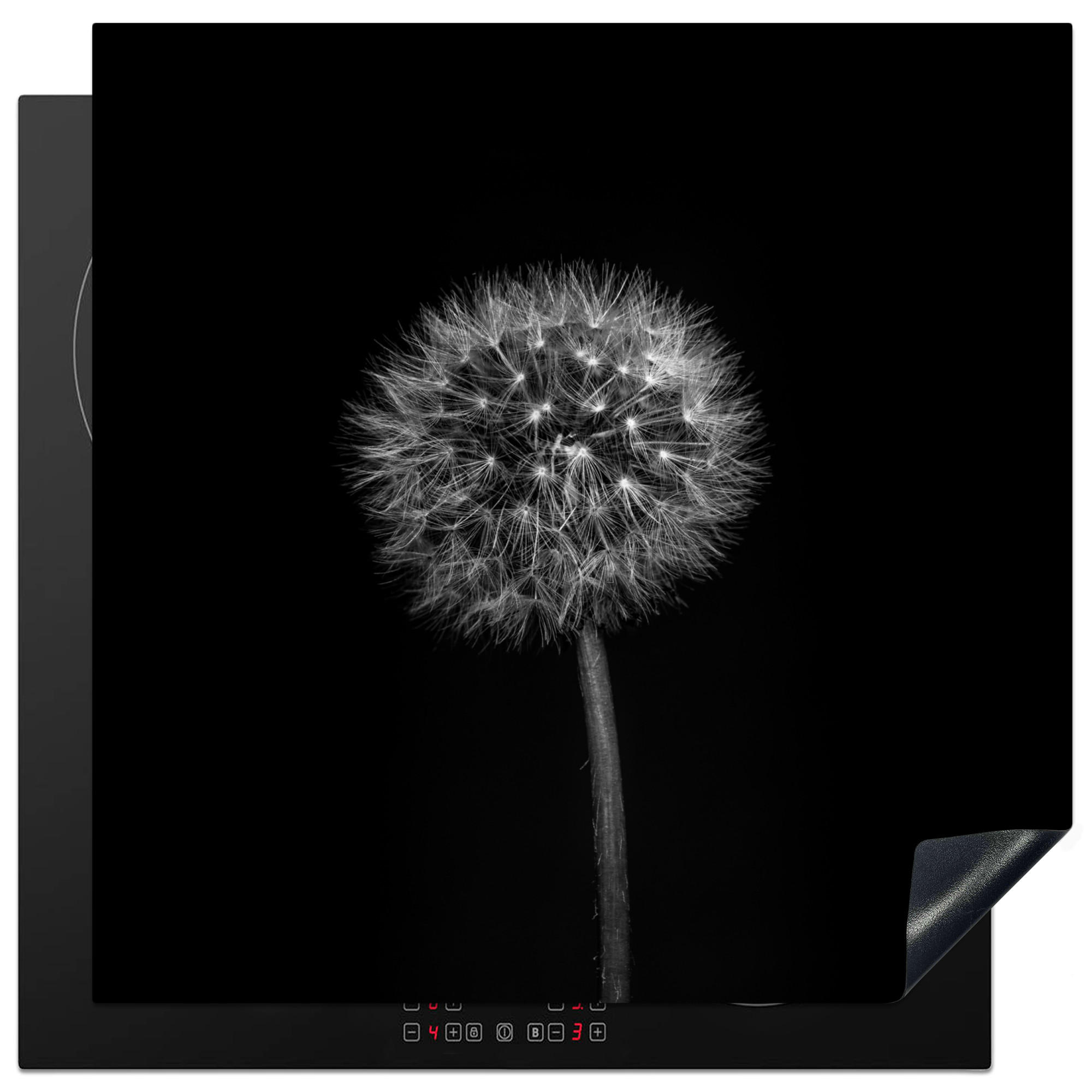 HERDABDECKPLATTE Löwenzahn - Schwarz - Floral - Botanisch 78x78 cm - Grau, Kunststoff (78/0.2/78cm) - MuchoWow