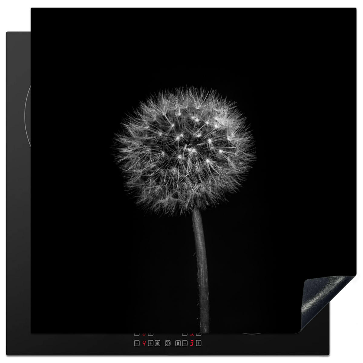 HERDABDECKPLATTE Löwenzahn - Schwarz - Floral - Botanisch 78x78 cm - Grau, Kunststoff (78/0.2/78cm) - MuchoWow