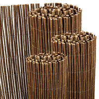 SICHTSCHUTZZAUN SolVision W79 500/160 cm Weide - Naturfarben, Kunststoff (500/160cm) - Sol Royal