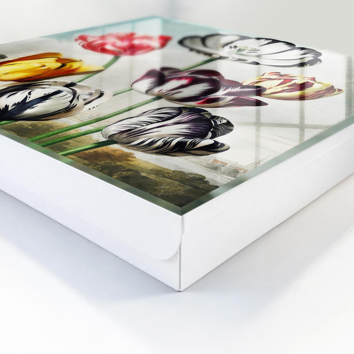 SCHLÜSSELBOX Weiß 30x30 cm – Türöffnung nach rechts - Retro-Tulpen - Rot, Metall (30/30/5cm) - TULUP