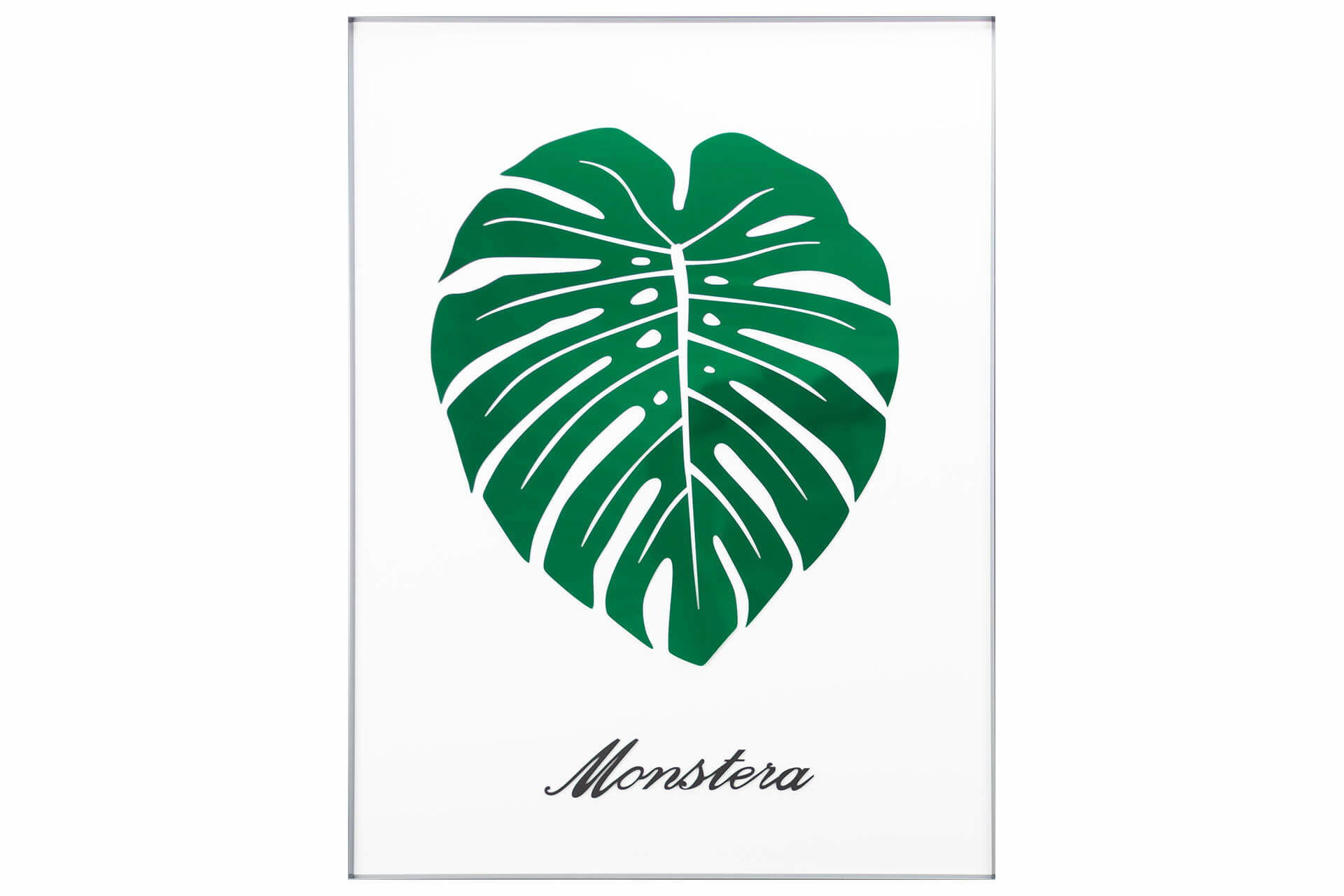 WANDBILD Grün 60/80 cm - Weiß/Grün, Glas (2.71/80cm) - KUNSTLOFT