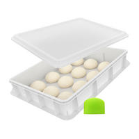 BOX na těsto - bílá, plast (60/13/40cm) - Relaxdays