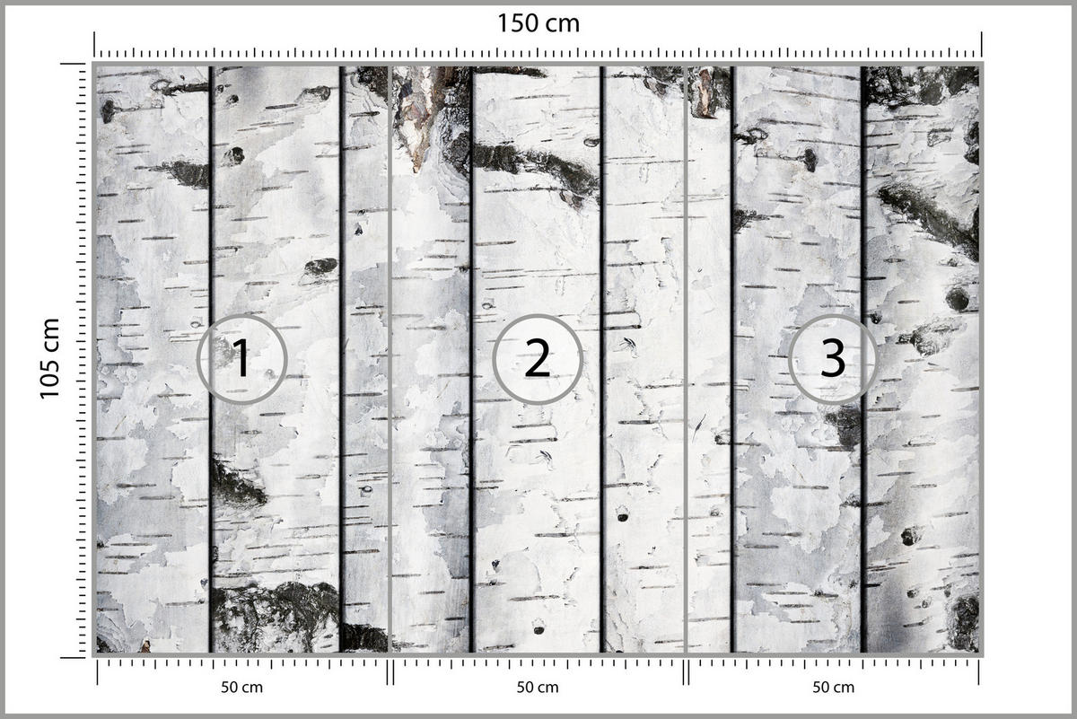 FOTOTAPETA Pre Spálňu Imitácia Brezovej Kôry Brezy Biela Strom 150 x 105 cm - čierna/sivá, papier (150/105cm) - Muralo