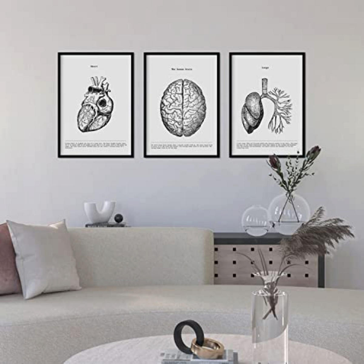 POSTER Set mit 3 Anatomie Vintage Herz Gehirn Lunge Größe A4 Rahmenlos - Klar, Papier (21/1/29.7cm) - Nacnic