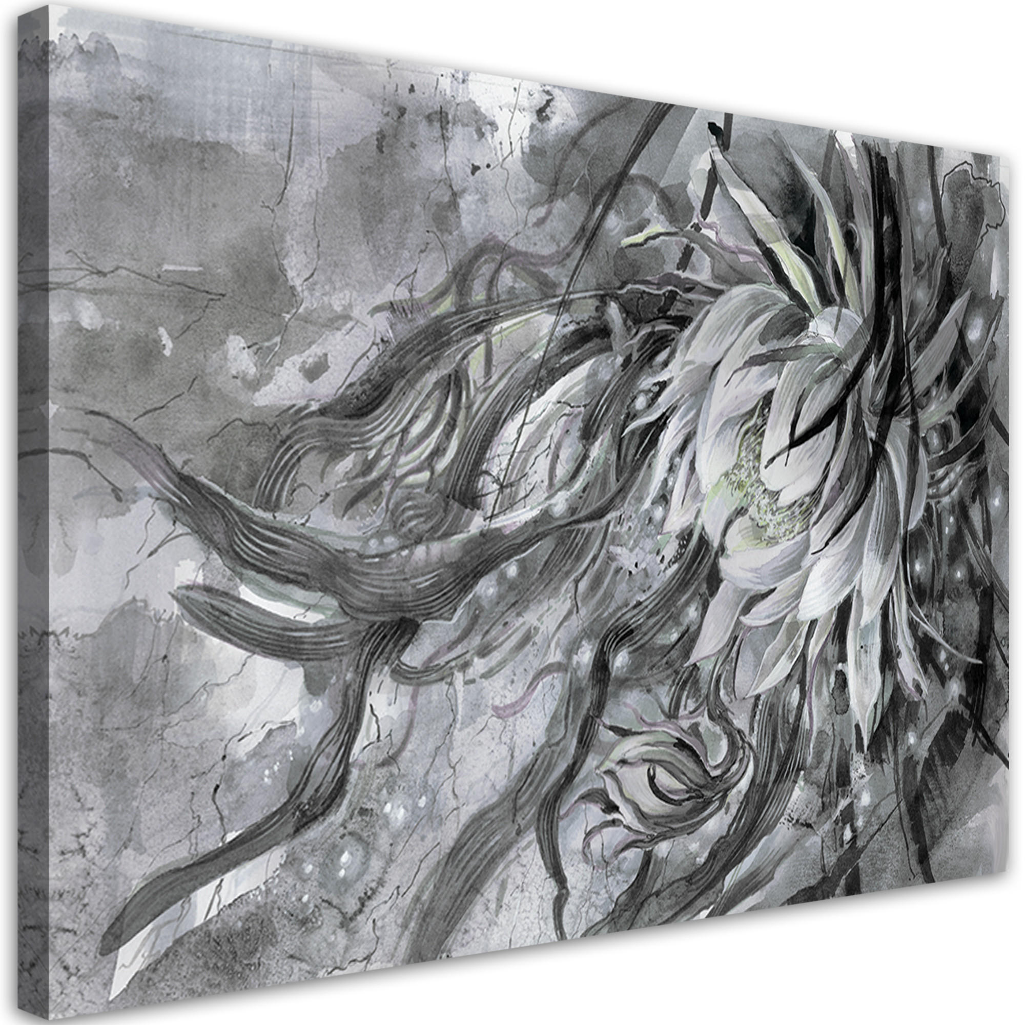 WANDBILD blume der königin der nacht - Grau, Textil (60/40cm) - Feeby