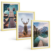 BILDER SET 3er Set - 40x60 cm Goldrahmen - Seeboote Hirsche Berge - Goldfarben, Kunststoff (40/60cm) - TULUP