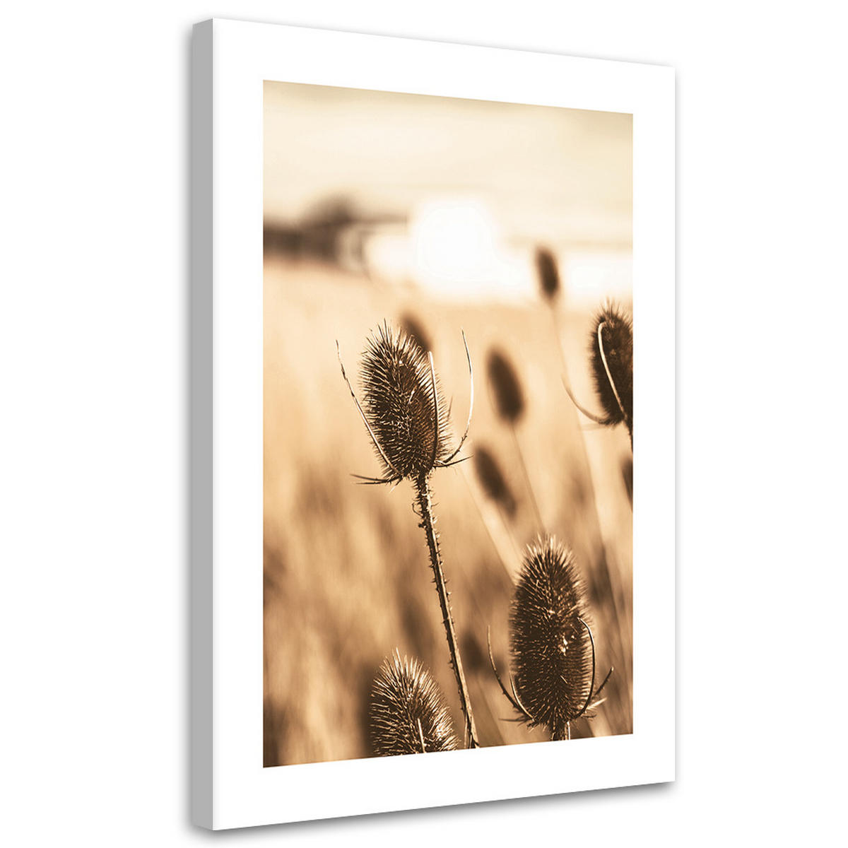 WANDBILD getrocknete teestrauchblüte - Beige, Textil (40/60cm) - Feeby