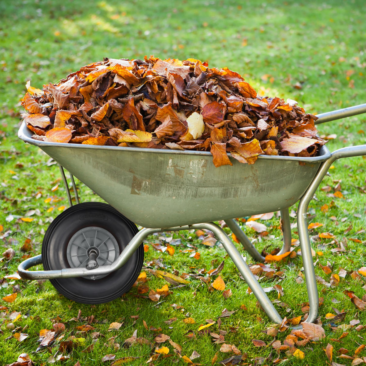 SCHUBKARRENRAD - Multicolor, Kunststoff/Metall (33/33/9cm) - Relaxdays