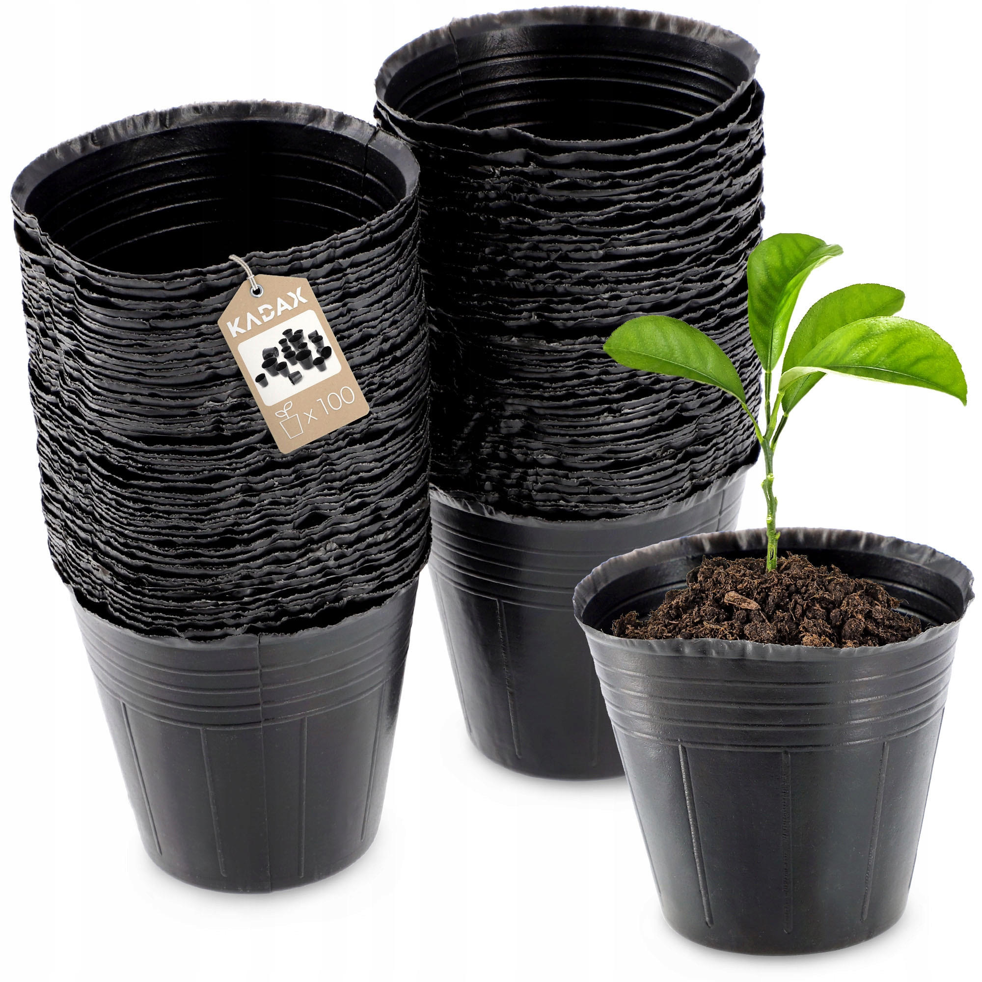 SAMENTOPF, rund, 6 cm, 100 Stück - Schwarz, Kunststoff - KADAX