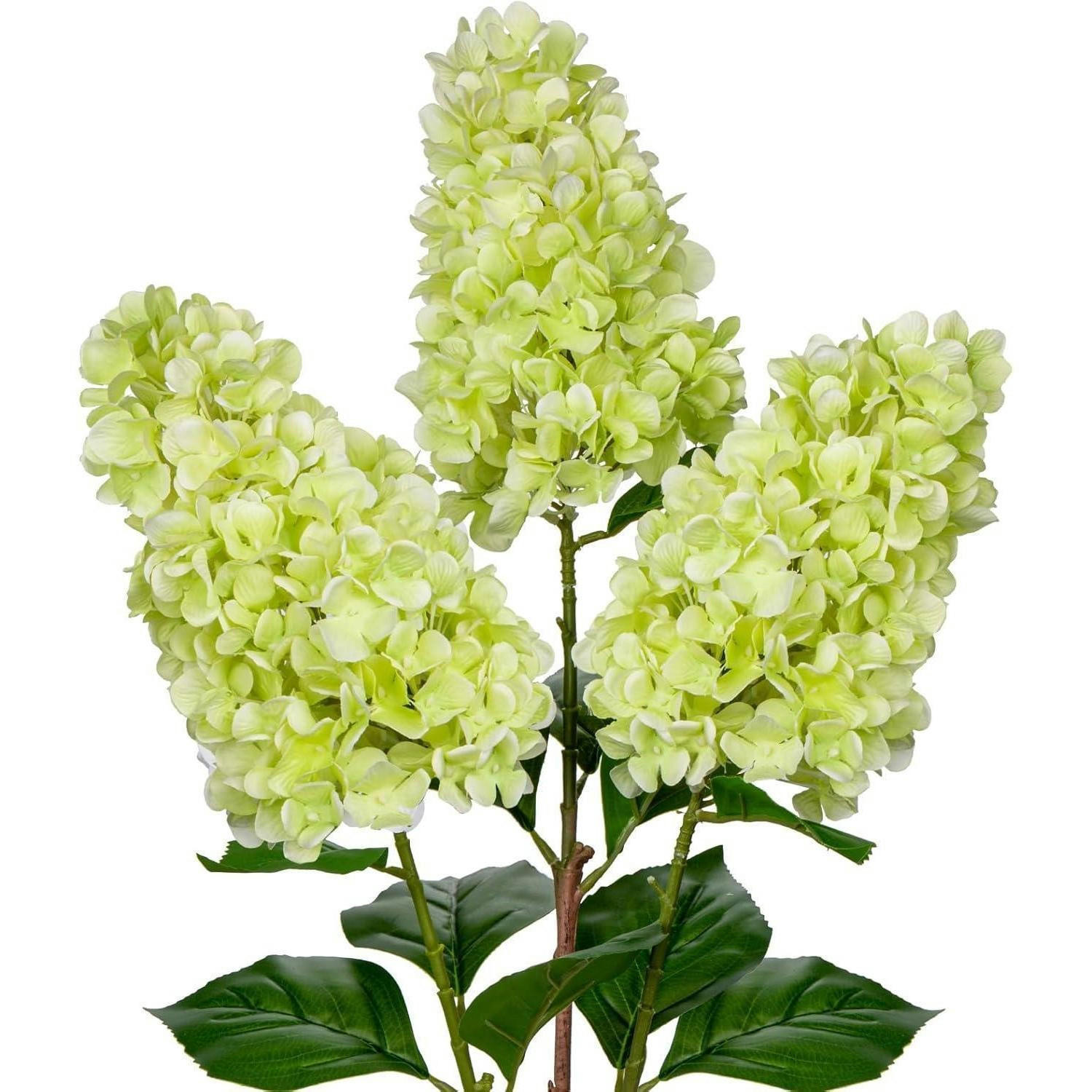 XXXLutz Kunstblume Grün 73 cm