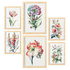 POSTER Set Mit 6 Hibiskus Vollfarbige Natur Und Botanikdrucke Mit Blumenmotiven Auf Reinweißen Hintergründen A3 & A4 Rahmen Aus Hellem Holz - Beige, Papier (29/3cm) - Nacnic