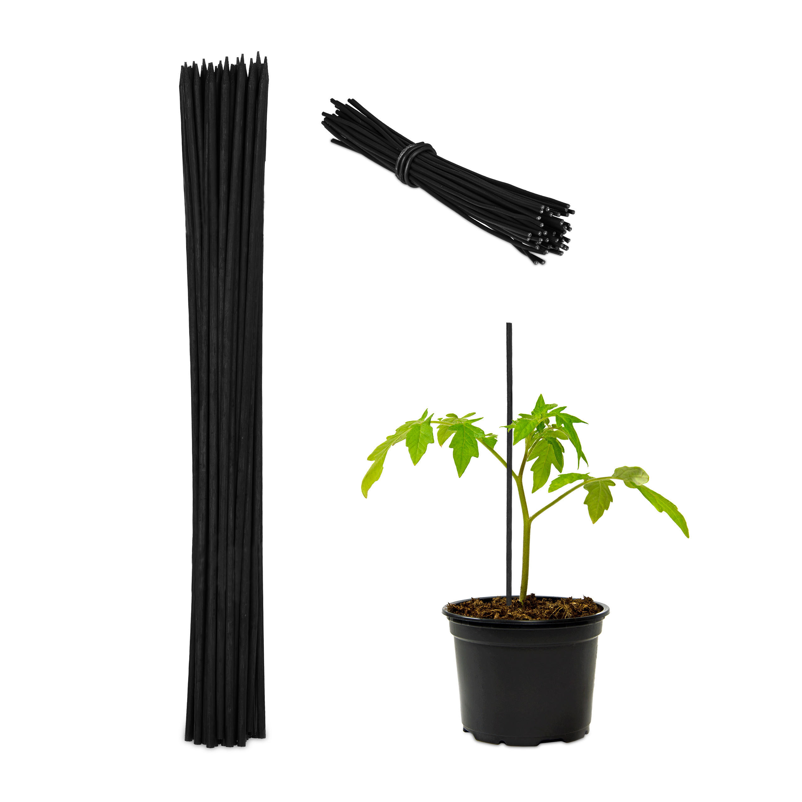 PFLANZSTAB Schwarz 50er-Set Bambus 30 cm - Schwarz, Holz/Metall (0.5cm) - Relaxdays