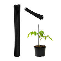 PFLANZSTAB Schwarz 50er-Set Bambus 30 cm - Schwarz, Holz/Metall (0.5cm) - Relaxdays