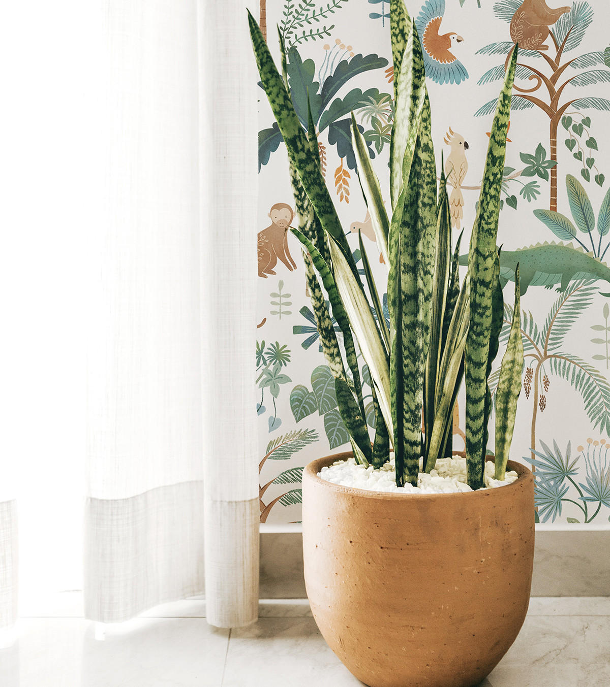 VLIESTAPETE Yatsuni Dschungel Tiere 50 cm x 10 m grün - Orange/Grün, Papier (50/1000cm) - Lilipinso