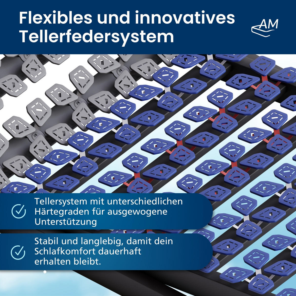 TELLERLATTENROST VERSTELLBAR 140/200 cm - Blau/Dunkelgrau, Holz (140/200cm) - AM Qualitätsmatratzen