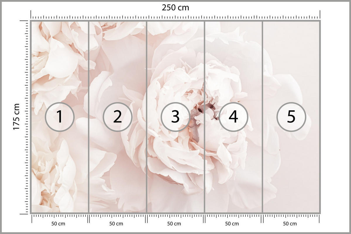 FOTOTAPETE für Schlafzimmer Pfingstrosen Blumen 3D 250x175 - Beige/Rosa, Papier (250/175cm) - Muralo