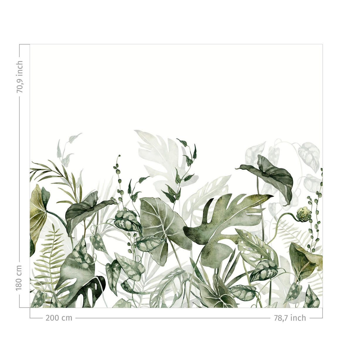 DUSCHVORHANG Tropische Blätter Aquarell 200/180 cm - Grün, Textil (200/180cm) - Bilderwelten