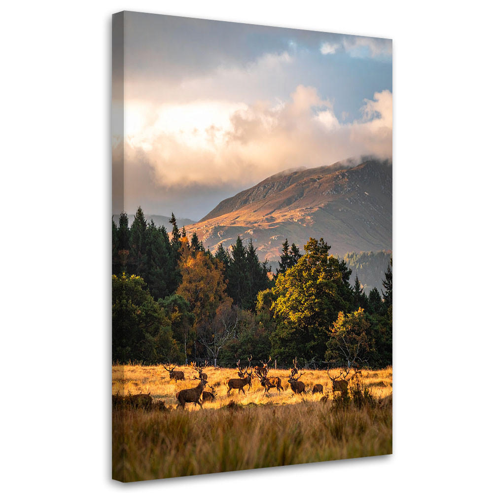 LEINWANDBILD Landschaft Blick Hirsche auf der Brunft 80x120cm - Beige, Textil (80/120cm) - Feeby