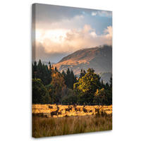 LEINWANDBILD Landschaft Blick Hirsche auf der Brunft 80x120cm - Beige, Textil (80/120cm) - Feeby