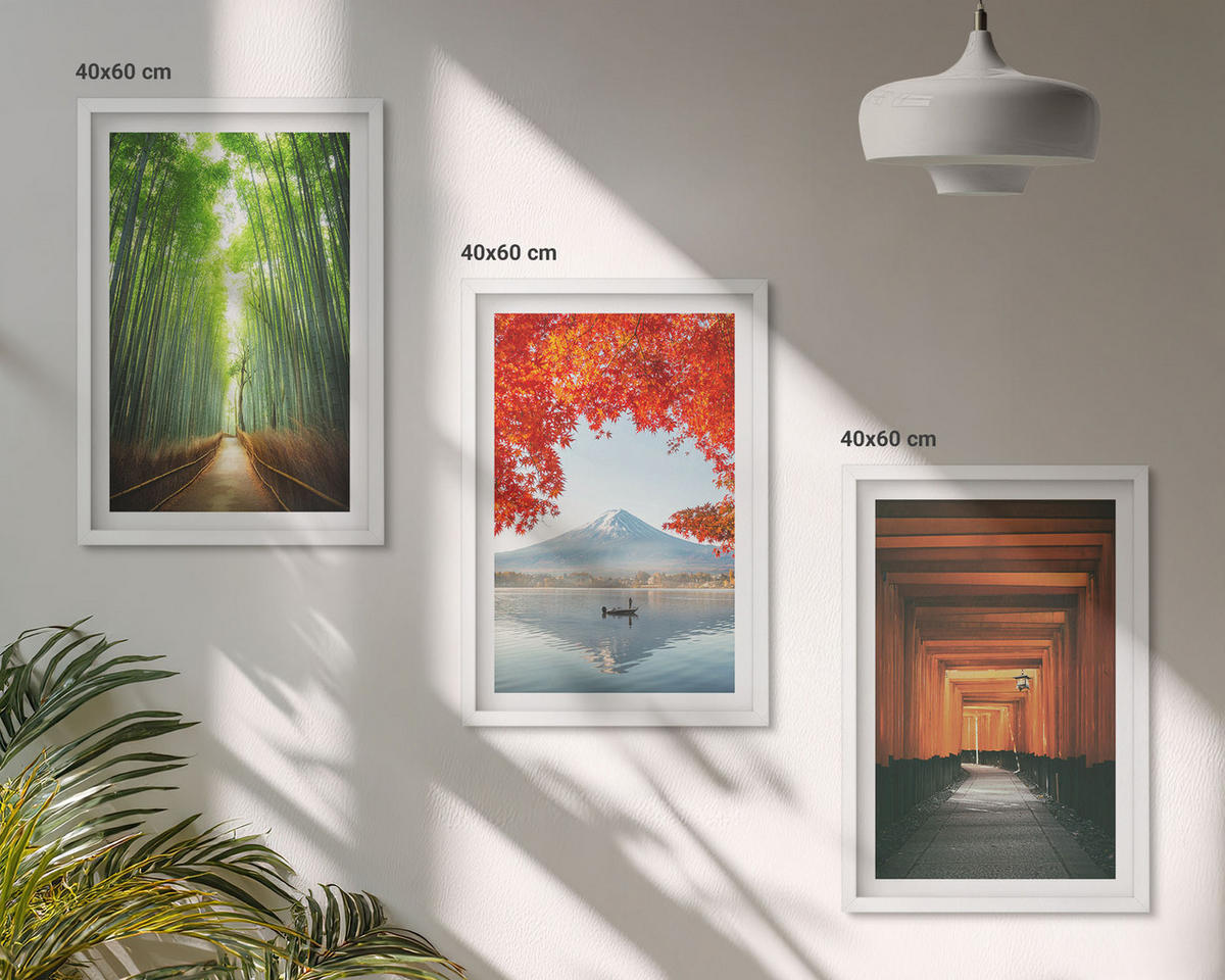 WANDBILDER 3er-Set - 40x60 cm Weißer Rahmen - Fuji-Bambuswaldlandschaft - Weiß, Kunststoff (40/60cm) - ArtPrintCave