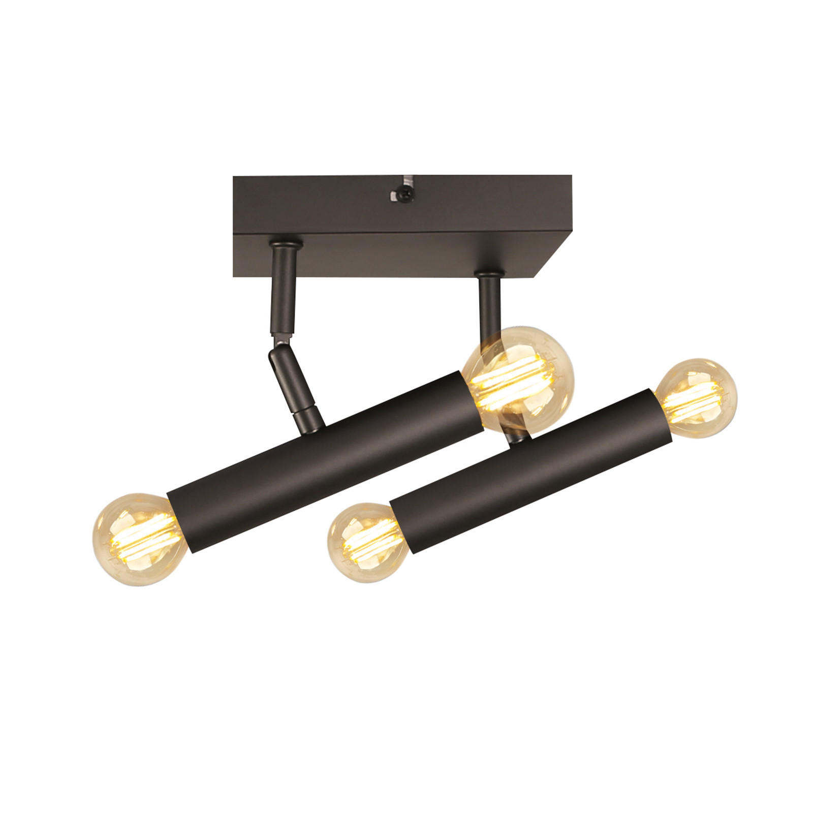 DECKENLEUCHTE Dogge 15/15/15 cm - Schwarz, Metall (15/15/15cm) - Nettlife