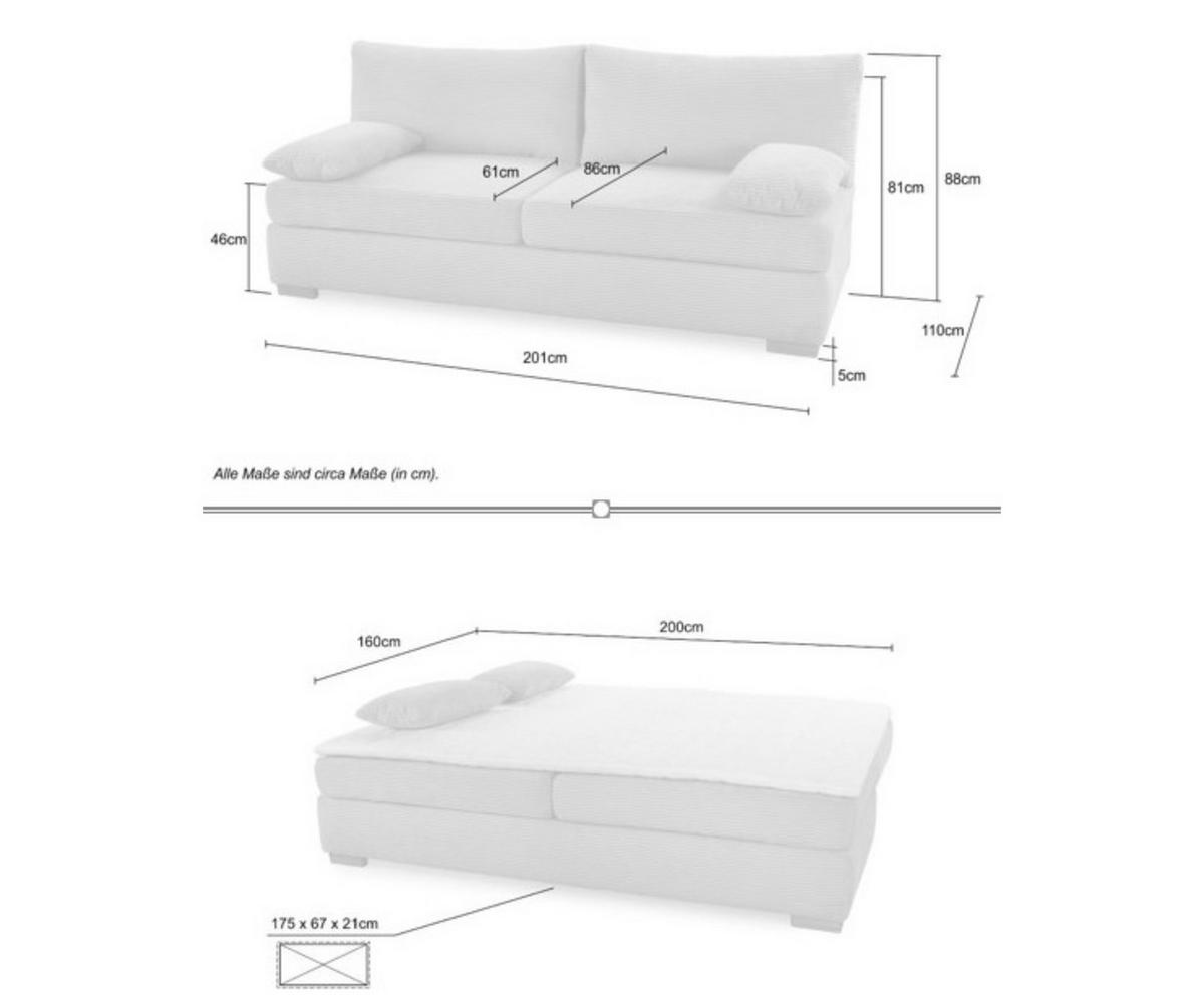 DAUER-SCHLAFSOFA Federkern Topper Bettkasten B201/T110/H88 cm, Liegefläche 160x200 cm, Feincord Hellgrau / 15152 - Wildeiche/Hellgrau, Holz/Textil (201/88/110cm) - luma-home