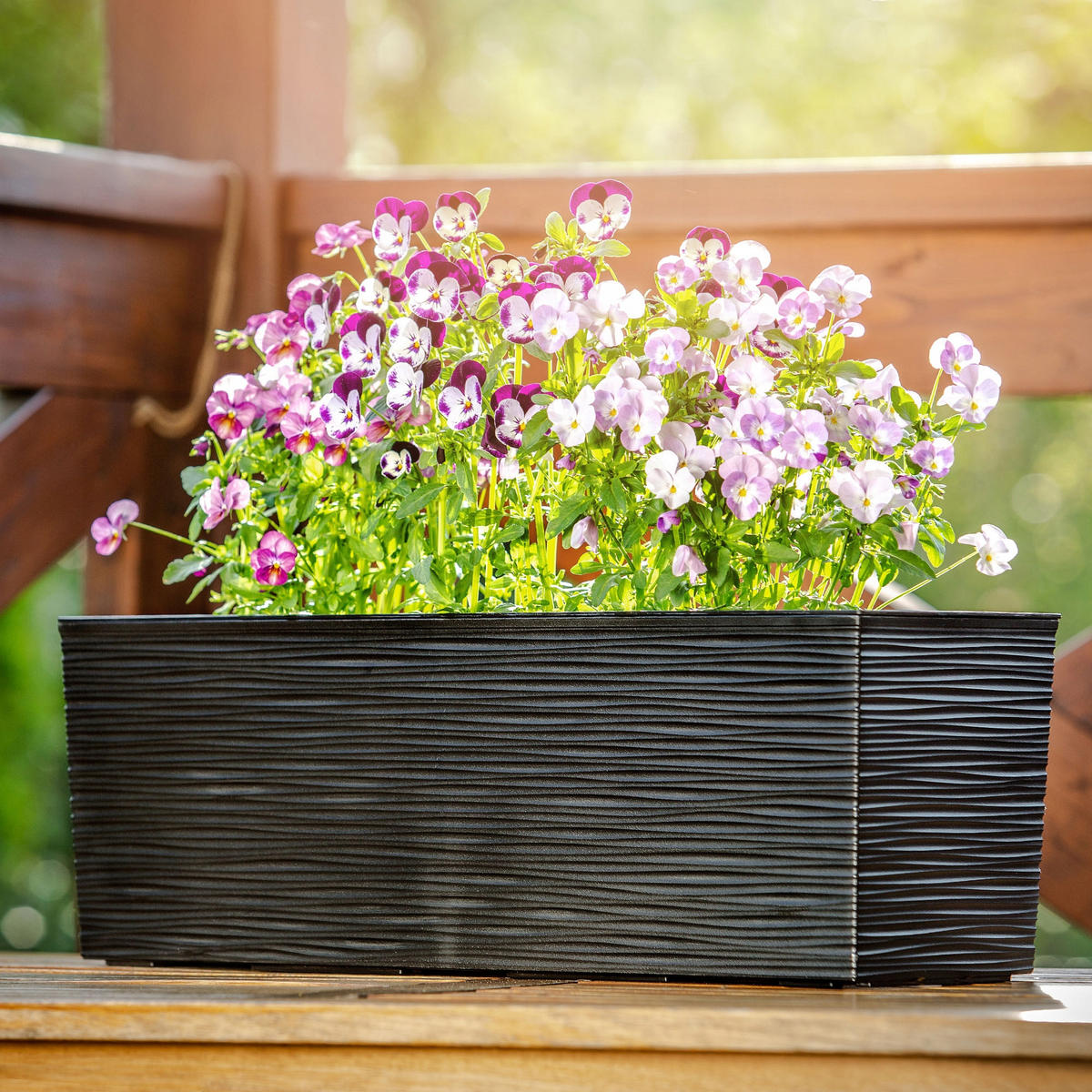 BALKONBLUMENTOPF mit Einsatz 56 cm, Schwarz - Schwarz, Kunststoff (18/56cm) - KADAX