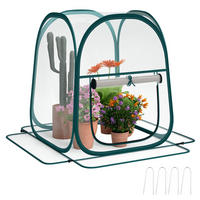 GEWÄCHSHAUS DE-12023 mit Rollfenster & Tragetasche Transparent - Transparent, Kunststoff (70/80/70cm) - ComfortXL