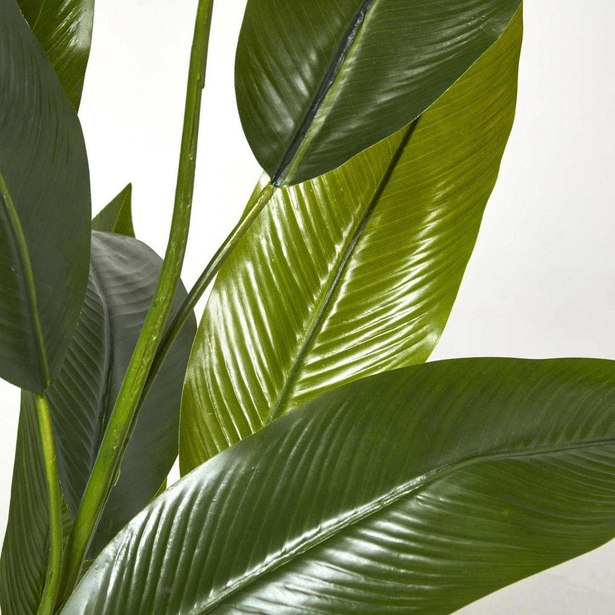 KUNSTPFLANZE Heliconia, 140 cm - Grün, Kunststoff (140cm) - Homescapes