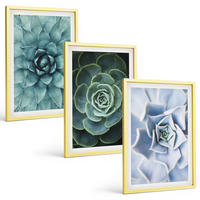 BILDER SET 3er Set - 40x60 cm Goldrahmen - Sukkulente Pflanzen grün türkis - Goldfarben, Kunststoff (40/60cm) - TULUP