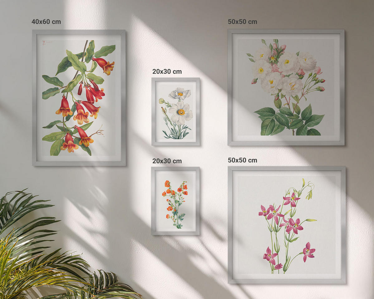 WANDBILDER 5er Set - 50x50 cm & 20x30 cm & 40x60 cm Silberner Rahmen - Retro-Blumenmalerei - Silberfarben, Kunststoff (40/60cm) - ArtPrintCave