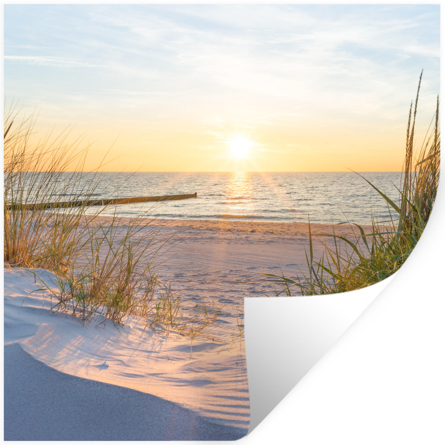 WANDTATTOO Strand - Sonne - Düne - Gras - Sand - Horizont 50x50 cm - Hellblau, Kunststoff (50/50/0.1cm) - MuchoWow