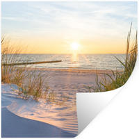 WANDTATTOO Strand - Sonne - Düne - Gras - Sand - Horizont 50x50 cm - Hellblau, Kunststoff (50/50/0.1cm) - MuchoWow